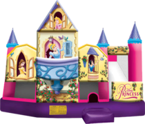 3D Disney Princess Water Slide Combo