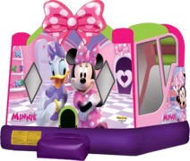 Minnie Mouse Water Slide Bounce House Combo