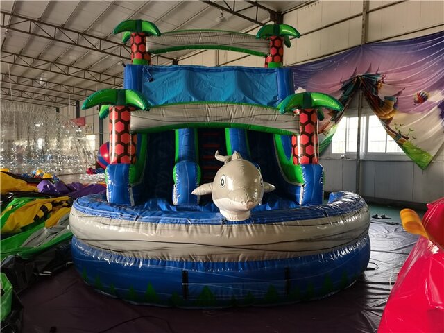 16 FT Tropical Dolphin 16 FT Tropical Dolphin