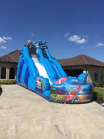 24ft style Shark Attack 24ft style Shark Attack