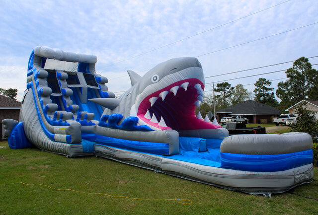 019 + 2hp (Great White 2pc Slide) 019 + 2hp (Great White 2pc Slide)