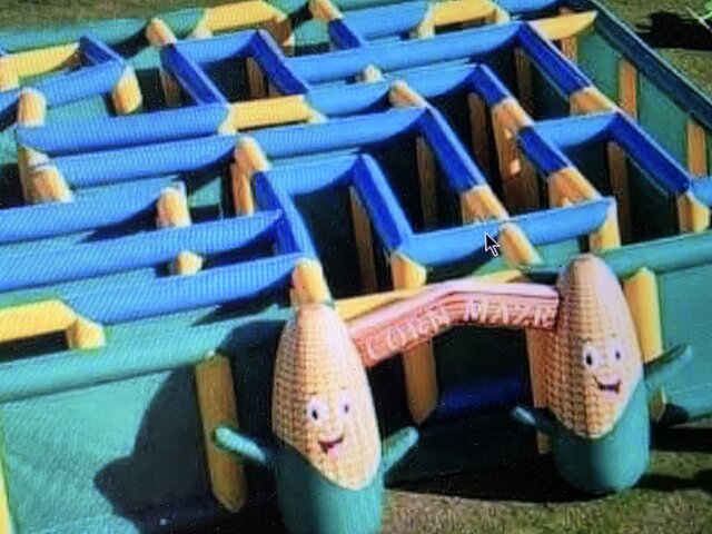 Corn Maze Corn Maze