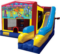 Circus Circus Bounce-n-Slide Combo - PA, MD, DE Approved
