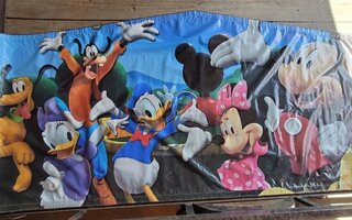 Mickey and Minnie Mouse Banner