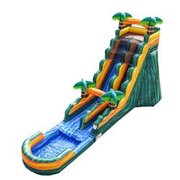 21' Cali Palms WATERSLIDEBest for ages 5+Size 37'L x 15'W x 21'H