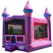 Purple Bounce HouseBest for ages 3+Size 13' L x 13' W x 16' H ***NEW FOR 2021***
