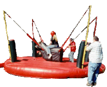 Bungee Bull Bungee Bull