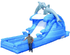 Dolphin Dive Waterslide Dolphin Dive Waterslide