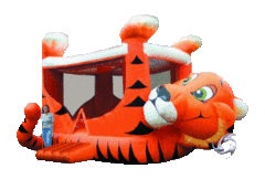 Tiger Belly Bounce House