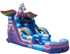 Unicorn Water Slide