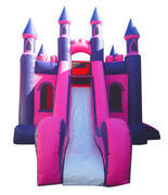 Pink Purple Castle Slide 17