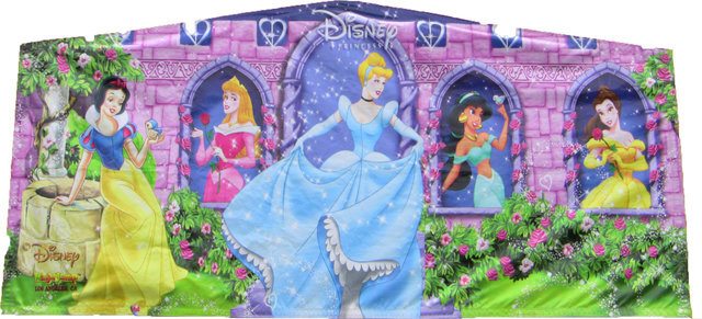 Disney-princess-party-rental-maine-new-hampshire