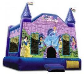Disney princess castle Disney princess castle