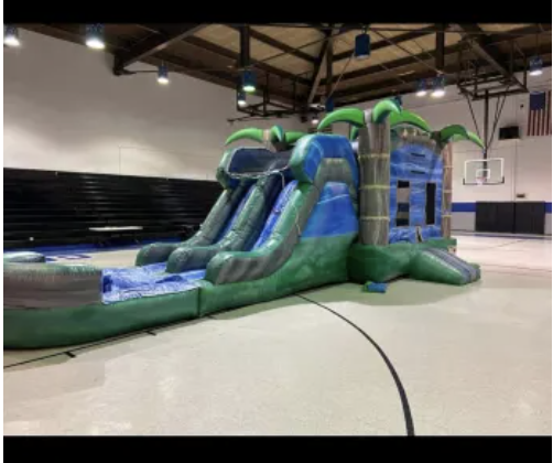 Palm Tree 3 in 1 Double Lane Combo Wet/Dry Palm Tree 3 in 1 Double Lane Combo Wet/Dry