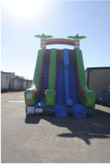 22' Tall Dry Double Lane (Tropical) Slide