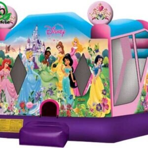 Disney Princess Disney Princess