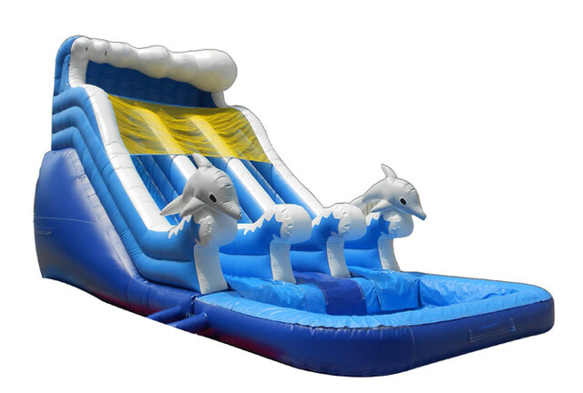 20 Ft Dual lane Dolphin Slide 20 Ft Dual lane Dolphin Slide