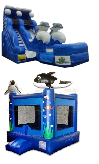 SeaWorld Special SeaWorld Special