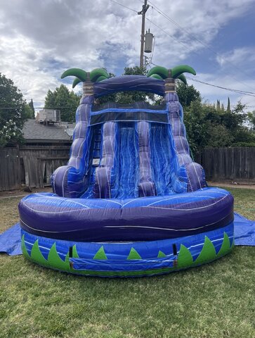 15 FT. TROPICAL RUSH DUAL LANE WATER SLIDE 15 FT. TROPICAL RUSH DUAL LANE WATER SLIDE