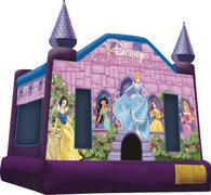 Disney Princess Disney Princess