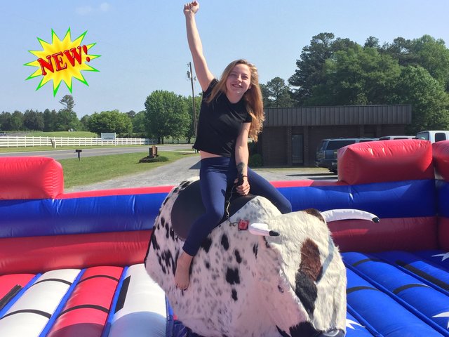 Bucking Bull Mechanical Bull Rental Bucking Bull Mechanical Bull Rental