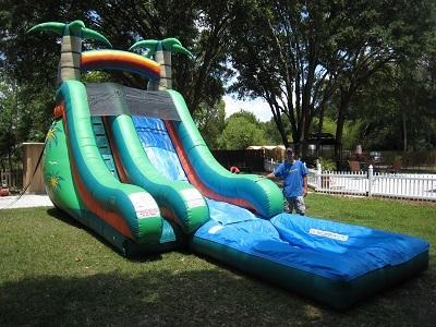 18ft Palm Tree Water Slide - UNIT #527 18ft Palm Tree Water Slide - UNIT #527