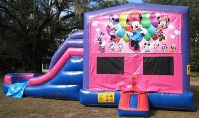 Minnie Mouse 4 in 1 Pink and Purple Two Lane WET Combo - UNIT #216