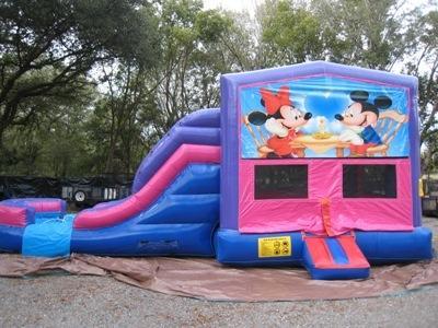 Mickey and Minnie 4 in 1 Pink and Purple Two Lane WET Combo - UNIT #216