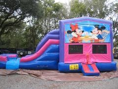 Mickey and Minnie 4 in 1 Pink and Purple Two Lane DRY Combo - UNIT #216