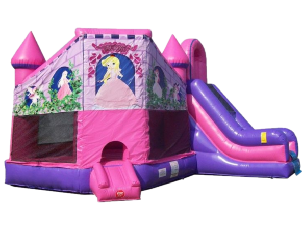 Princess Bounce House Combo