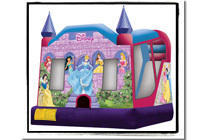 Disney Princess Slide Combo DRY