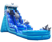 Water Slides Water Slides
