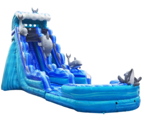 20 FT Dolphin Waterslide