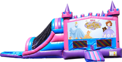 Sofia Pink and Purple Castle Combo Wet Sofia Pink and Purple Castle Combo Wet