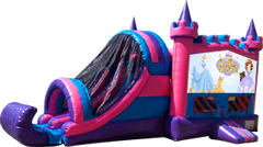 Sofia Pink and Purple Castle Combo Dry Sofia Pink and Purple Castle Combo Dry