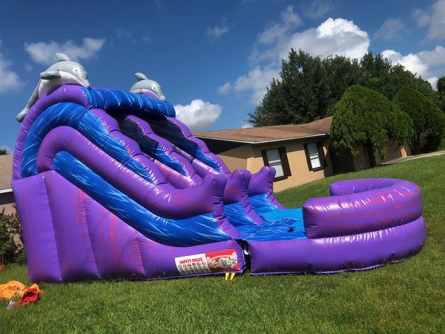 16ft Dolphin Paradise 16ft Dolphin Paradise