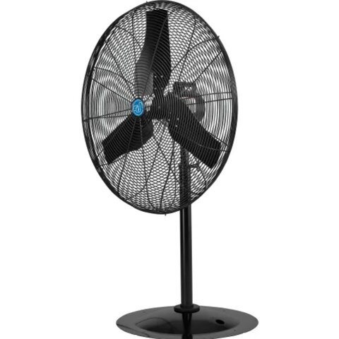 36 36