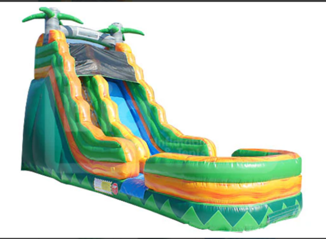 19’ Palm Tree Slide (DRY)