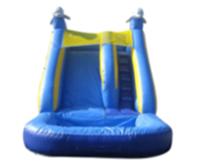 16ft Dolphin Slide 16ft Dolphin Slide