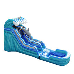 15ft Dolphin Dive Water Slide