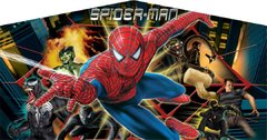 39 Spider-Man banner x