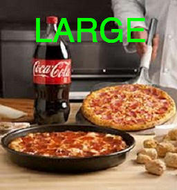 Adult Large Pizza + 2 Liter