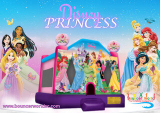DISNEY PRINCESS DISNEY PRINCESS