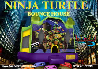 NINJA TURTLE NINJA TURTLE