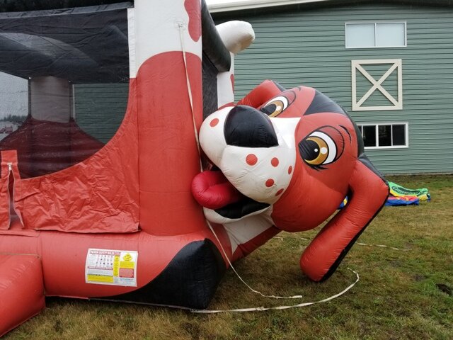 Beagle Bounce House Graham