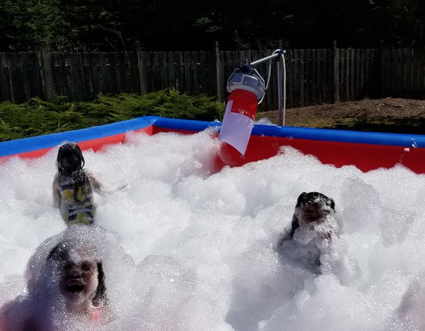 1 Foam Machine 1 Foam Machine