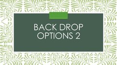 Smaller Back Drop Options