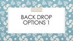 Larger Back Drop Options