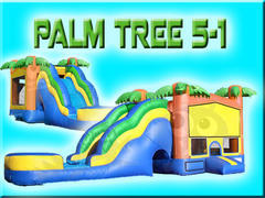 Palm Tree 5-1 with Waterslide Palm Tree 5-1 with Waterslide