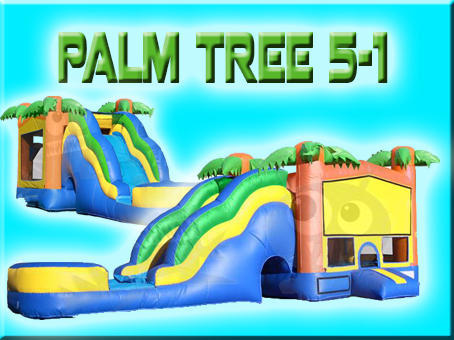 Palm Tree 5-1 Palm Tree 5-1